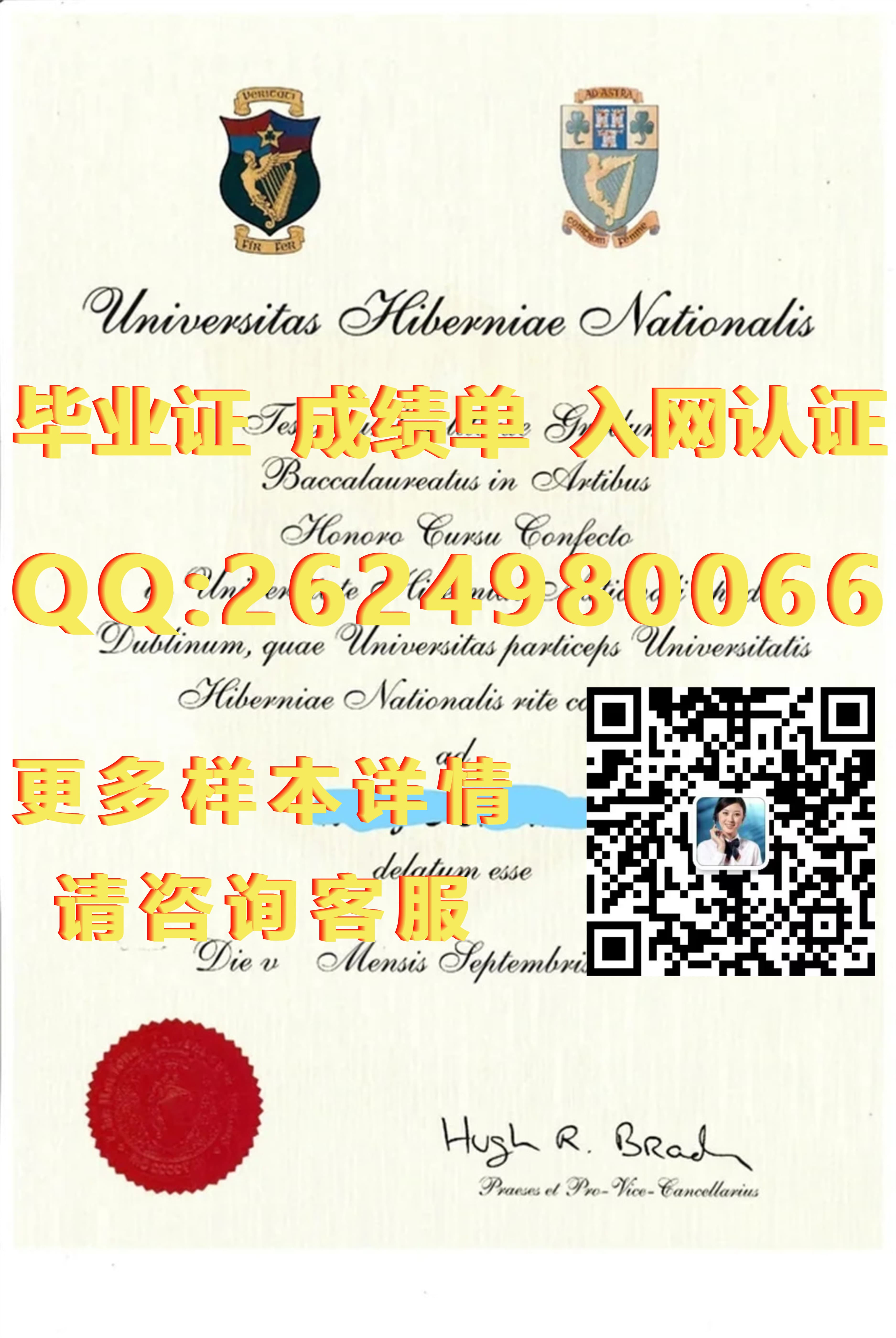 都柏林理工大学毕业证模版|文凭参考|学位证|成绩单图片_理工学士学位_理工类学位证
