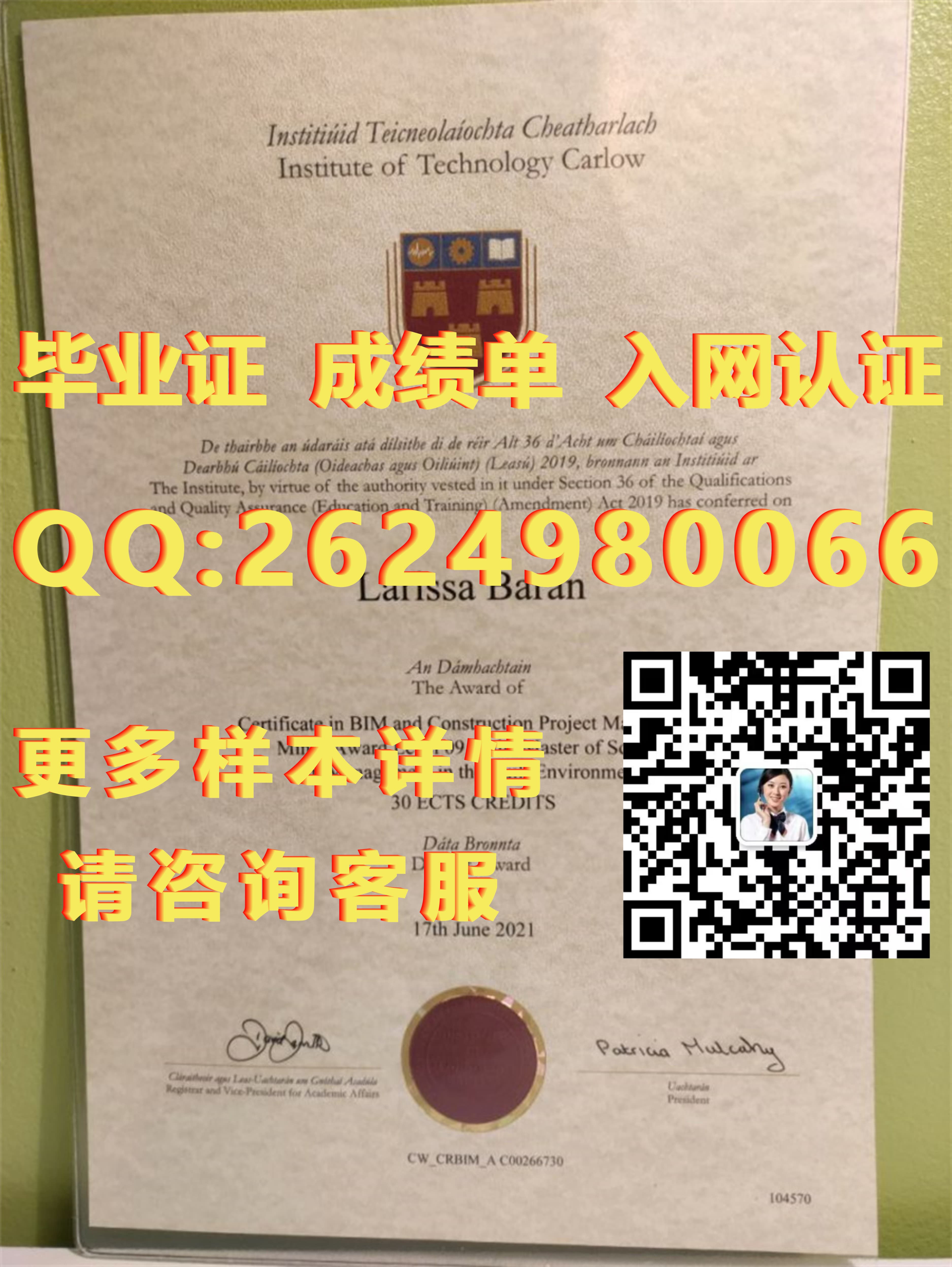 理工学士学位_都柏林理工大学毕业证模版|文凭参考|学位证|成绩单图片_理工类学位证