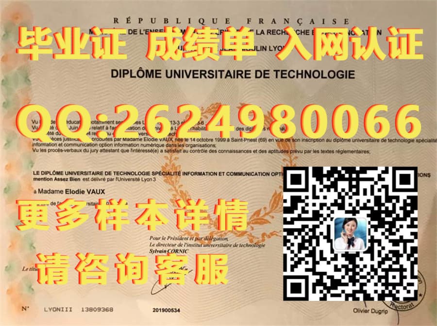 雷恩第二大学毕业证模版|文凭参考|学位证|成绩单图片_学位学历证书_学位毕业证书