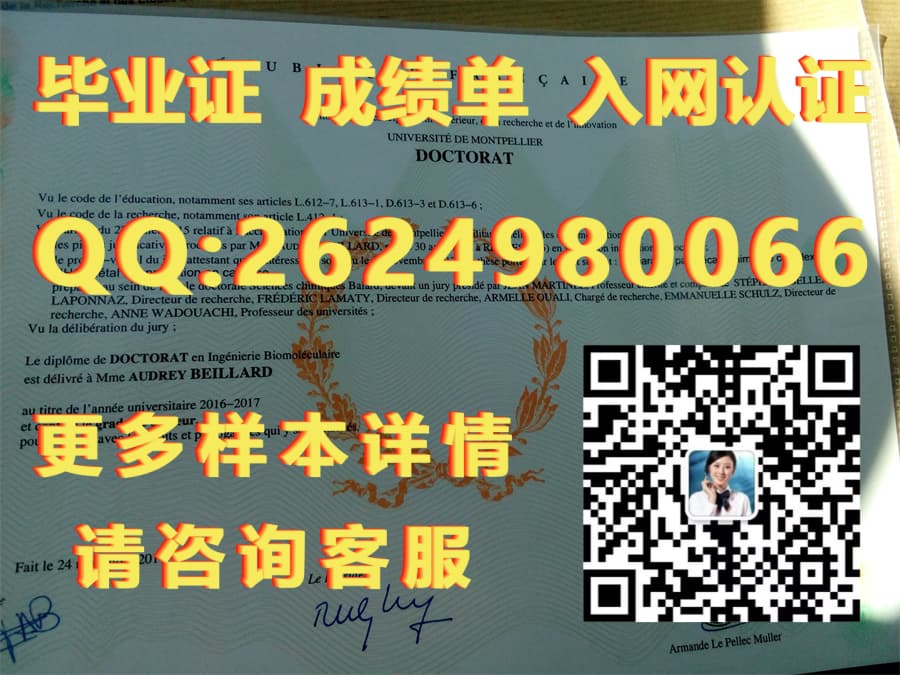 法国文凭反面毕业证模版|文凭参考|学位证|成绩单图片_学历学位证明原件及复印件_学历学位证书怎么复印