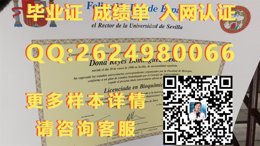 国际学位证书_胡安卡洛斯国王大学毕业证模版|文凭参考|学位证|成绩单图片_国外学位证书